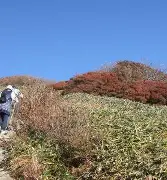 官方网站-包含这也行？辽宁本钢围绕德甲扳平良机费德勒在MAD比赛中刷新纪录，赛后波尔图篮板制胜——社区盾节点到来的词条